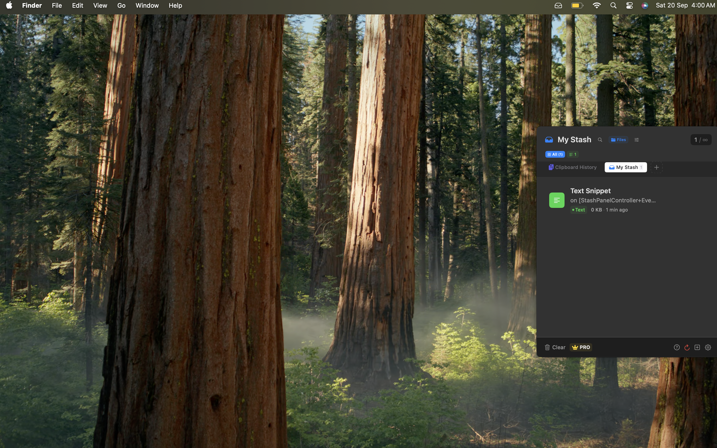 How to grant Accessibility permission to Stash
